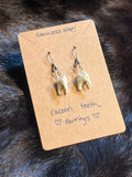 Raccoon Teeth Earrings