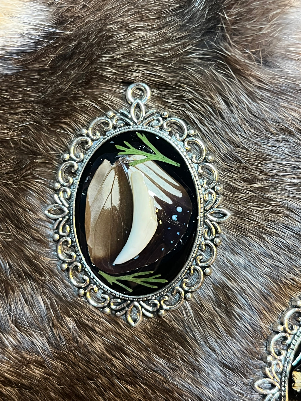 Shrump Cameo